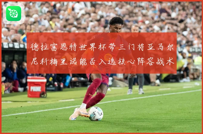 德拉富恩特世界杯带三门将亚马尔尼科梅里诺能否入选核心阵容战术观察：最新赛事动态与深度分析
